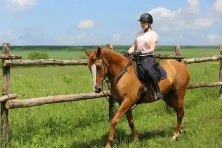 Богатица - 28