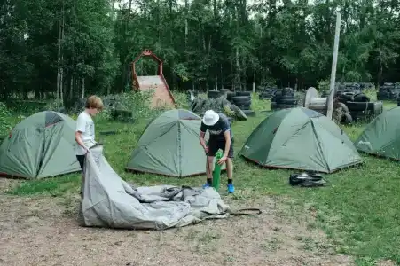 Ёлочки - 5