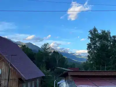 Капибара - 40