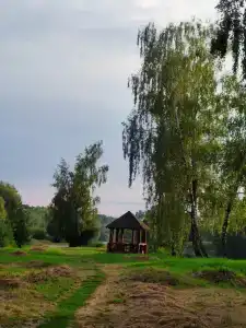 Надзея - 13