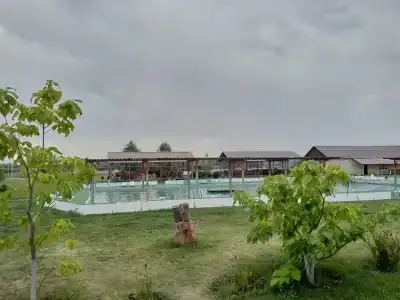 Каштан - 33