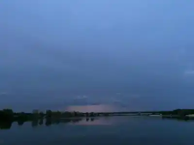 Белый лис - 27