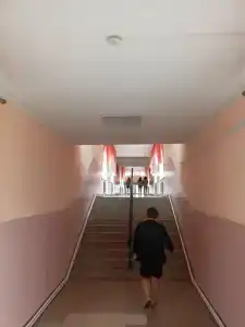 Пралеска - 23