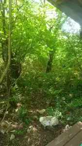 Скелепарк - 81