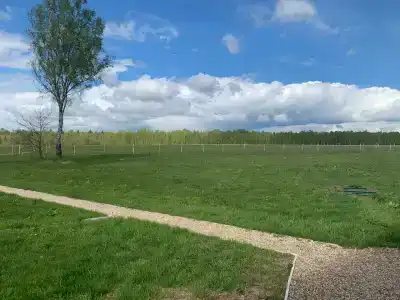 12 Дубов - 49