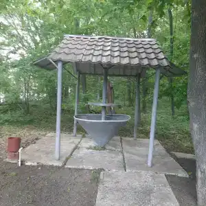Ласточка - 33