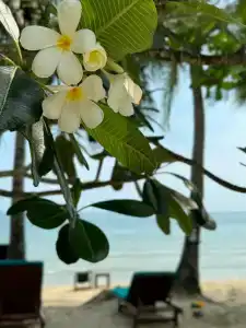 Koh Chang Paradise Resort & Spa - 15