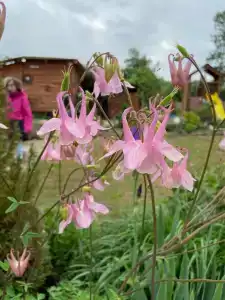 Горный родник - 36