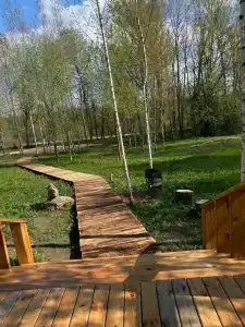 Друзья - 37