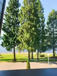 Волжский Сон - 18