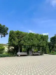 Великовечное - 35