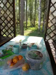Парус - 16