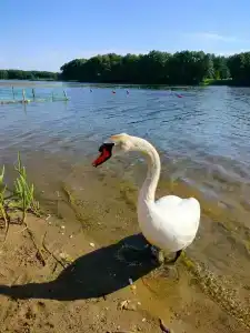 Энергетик - 59