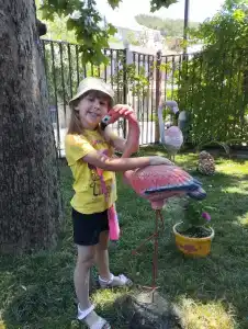 Фламинго - 33