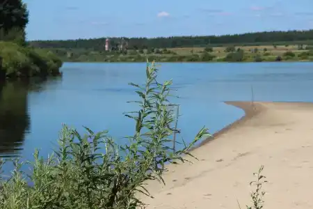 Пчелинцево - 14