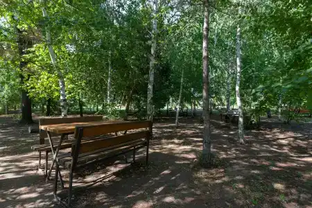 Волжанка - 43