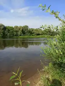 Дворцы - 5