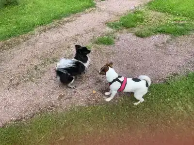 База отдыха Рюттю - 8