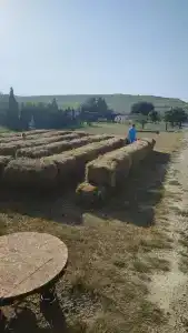 Страусиная ферма Экзотик - 30