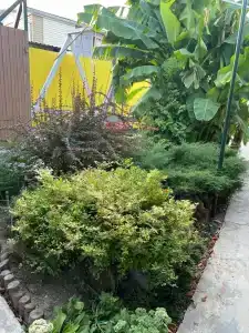 Lounge Place - 23