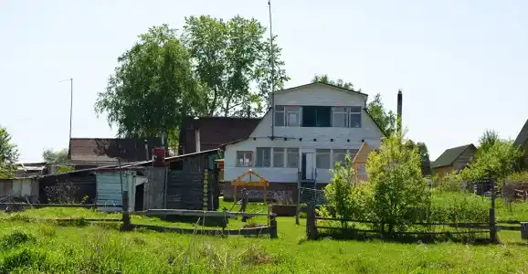 Живое - 27