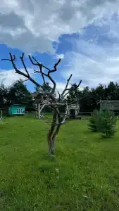 Шугайловские дворики - 20