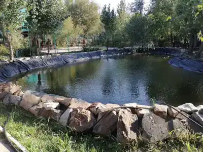 Березовые дали - 17