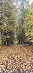 Озеро Селигер - 6