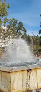 Хвойный - 37