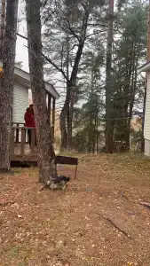 Ока - 31