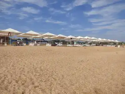 у Алексея - 43