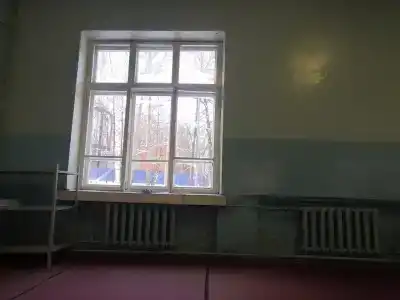 Лесное озеро - 81