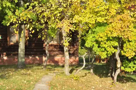 Остров - 16