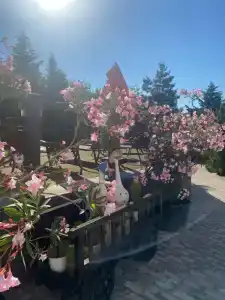 Казантипская хижина - 79