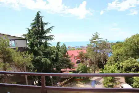 Восток - 38
