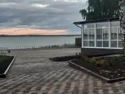 Березовая роща - 0