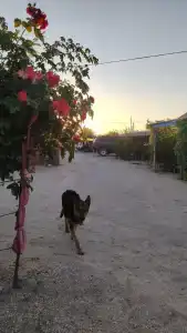 База отдыха у Аннушки - 3
