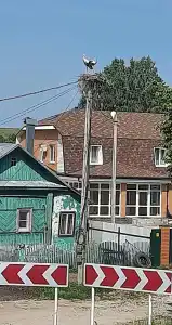 Светлана - 44