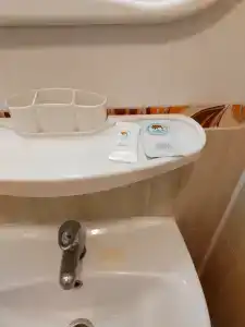 Беловежская пуща. №2 - 61