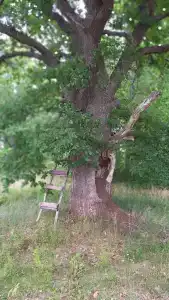 Хутор Утешение - 34