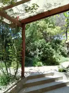 Paradise - 15