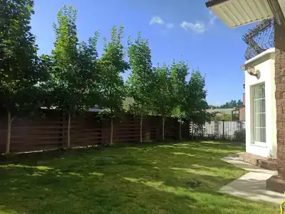 Солнечный - 3