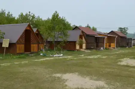 Фламинго - 41