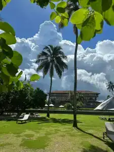 Cinnamon Bentota Beach - 25