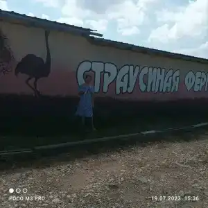 Страусиная ферма Экзотик - 6