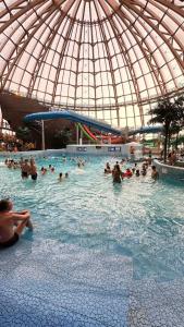 Питерлэнд - 52