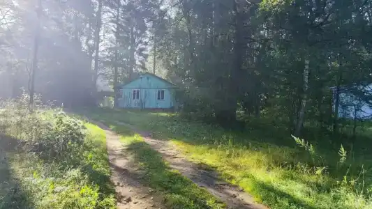 Волна - 67