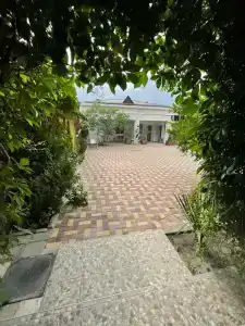 У Эли - 5