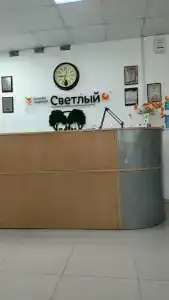 Светлый - 69