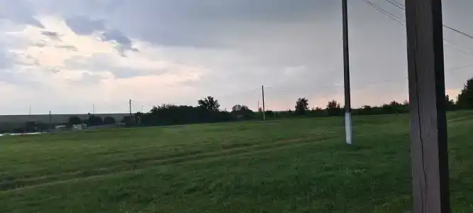 Бояринцево - 83